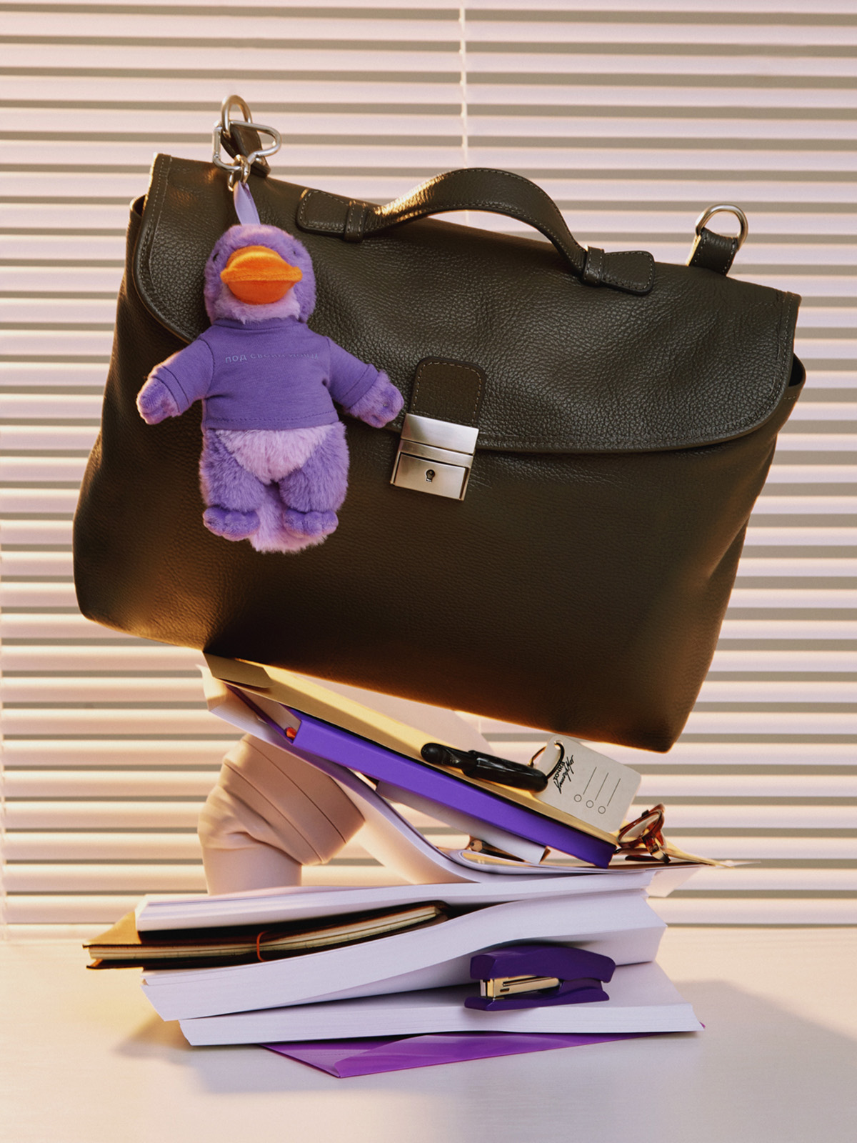 Обвес «Утконос» - изображение 4 из 13