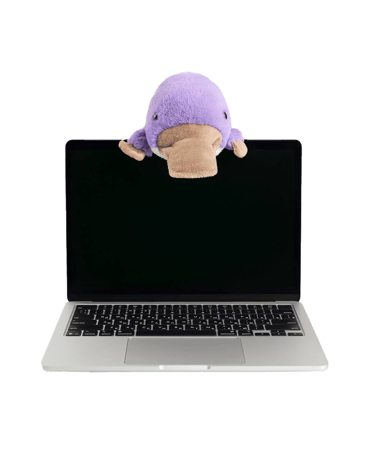 Игрушка Утконос поддерживающий - изображение 1 из 7