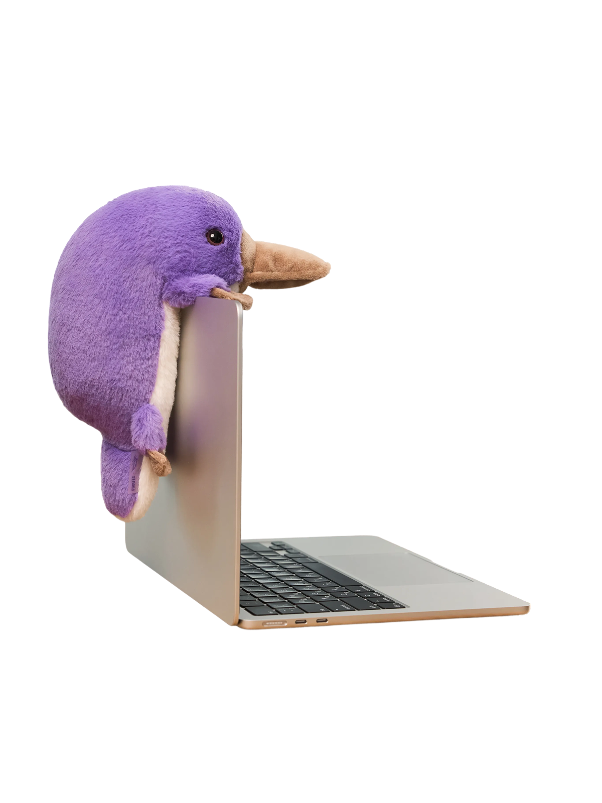 Игрушка Утконос поддерживающий - изображение 3 из 7