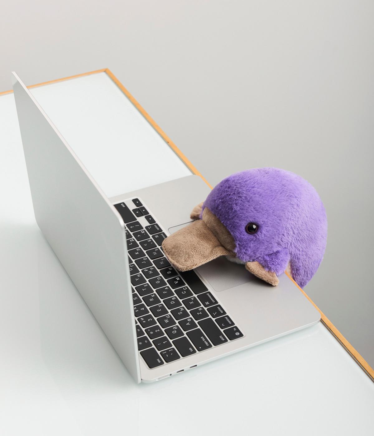 Игрушка Утконос поддерживающий
