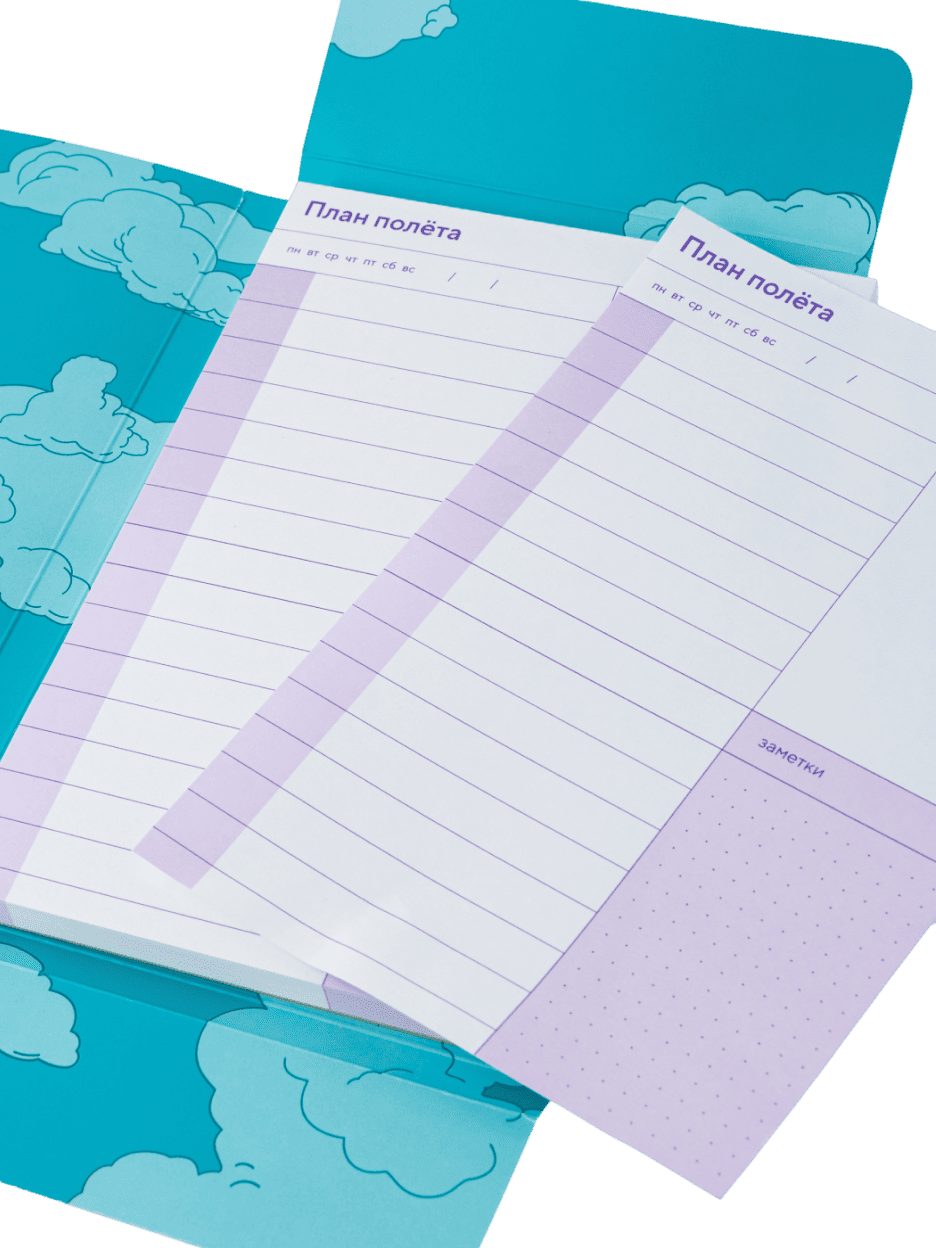 Планер «Для далеко летящих планов» — подарочная упаковка